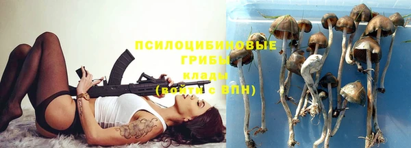 прущий лед Алексеевка
