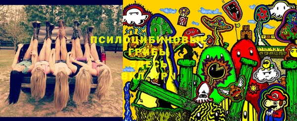 прущий лед Алексеевка