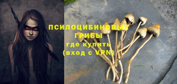 прущий лед Алексеевка