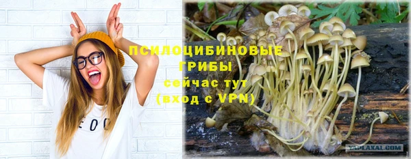 прущий лед Алексеевка