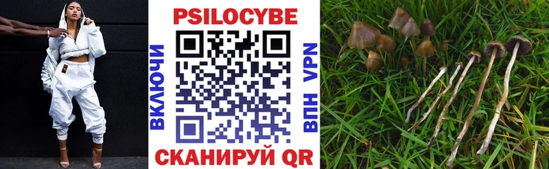 Галлюциногенные грибы MAGIC MUSHROOMS  Куса 
